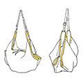 ButlerVernerSails